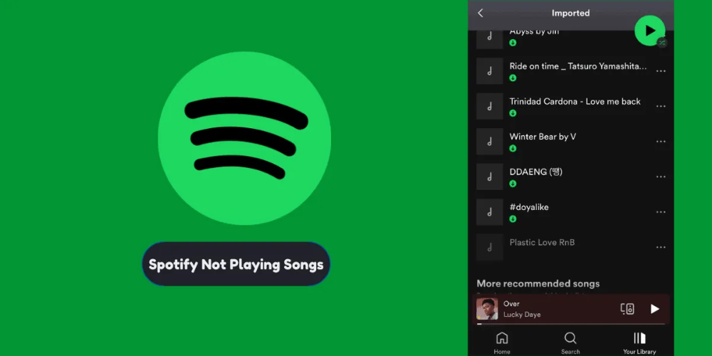 Spotify interface